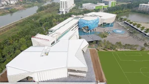 BUV UNIVERSITY