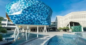 BUV UNIVERSITY