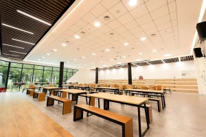 BUV UNIVERSITY