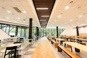 BUV UNIVERSITY